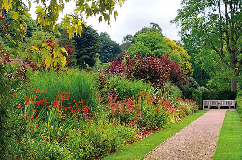  July - Grand Border - Russell Gardens